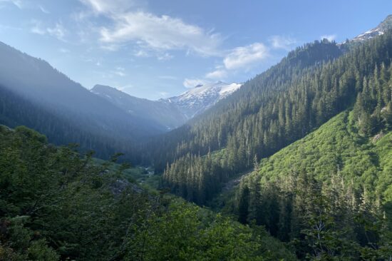 A snowcapped mountain under a blue sky peaks over a forested valley