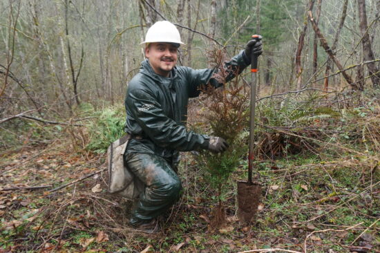 A tree planter in a white hard hat poses with a shovel and a freshly planted sapling