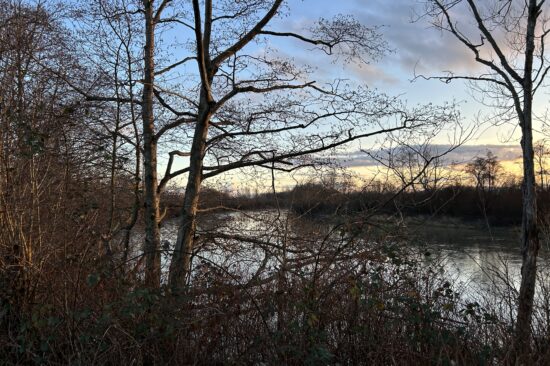 Leafless trees and branches are shown in front of a river at sunset