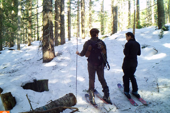 Two scientists on skis stand with their backs to the camera observing a snowy forest