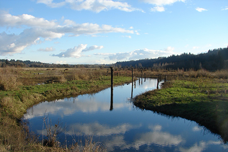 A blue cloudy sky is reflected on a very still stream, snaking through a field