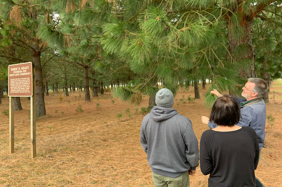 Three people stand looking up at a forest of ponderosa pine trees. One looks up towards one of the trees, gesturing as if explaining something.