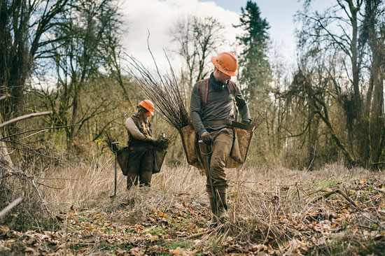 Two tree planters reach into their planting bags to grab new seedlings
