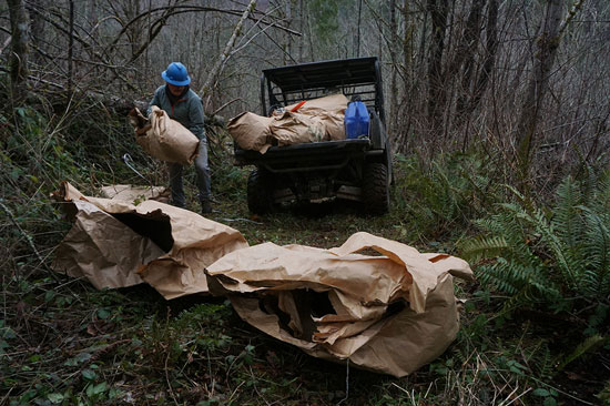 A tree planter in a dark forest unloads saplings wrapped in brown papers