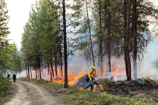 Fire workers tend to a fire along a dirt road in a forest