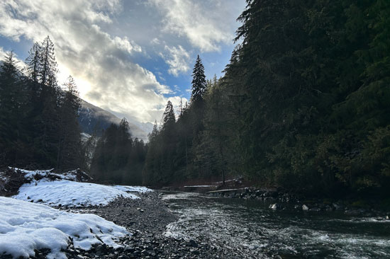 A stream weaves through a snowy forest