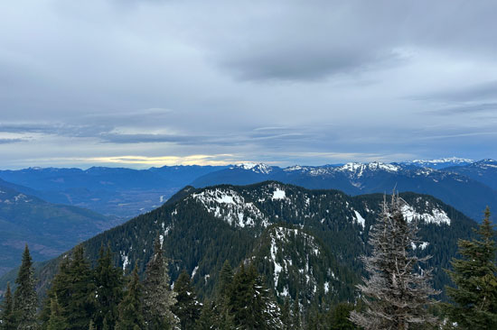 Snow peaks through trees on hilly slopes