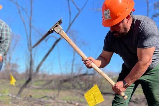 A tree planter in a orange hard hat swings a pick towards the ground