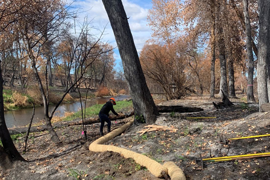 A restoration worker at a site along a creek lays down a hay buffer