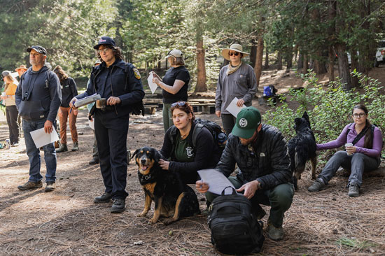 A group of people and a dog listen to a presenter in the forest