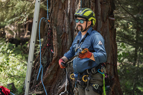 A person in a climbing harness and helmet talks in front of a large tree