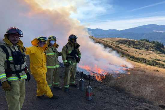 Firemen in a presecribed forest burn area.
