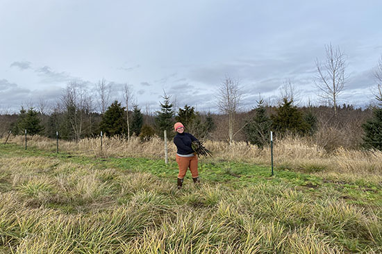a person carries a bundle of willow stakes in a field