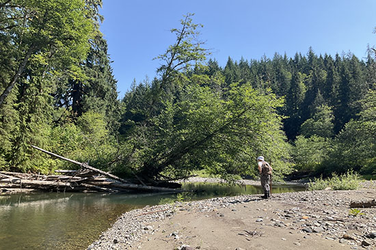a person stands on a river bank across from a logjam