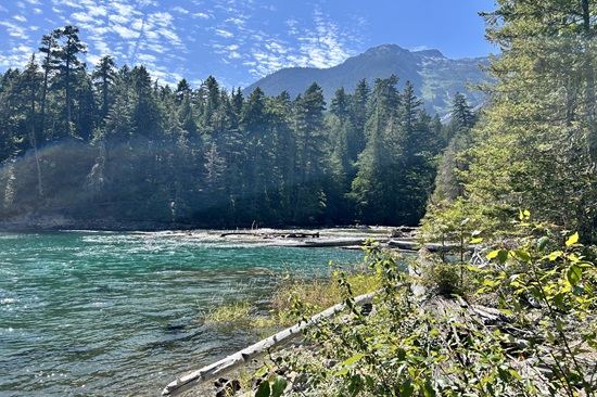 a river lined with trees and a blue sky